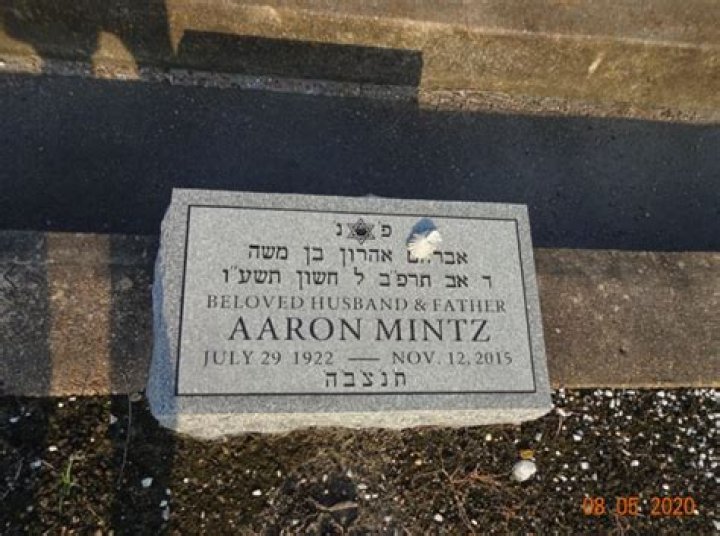 Dr. Aaron Mintz, MD – Saint Louis, MO