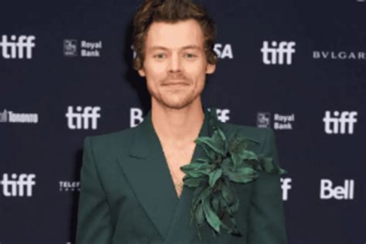 After The ‘Don’t Worry Darling’ Fiasco, Harry Styles And Olivia Wilde Had Dinner Together