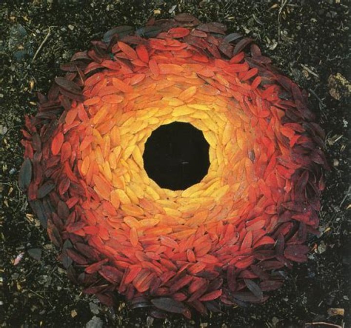 Andy Goldsworthy Biography - Childhood, Life Achievements & Timeline