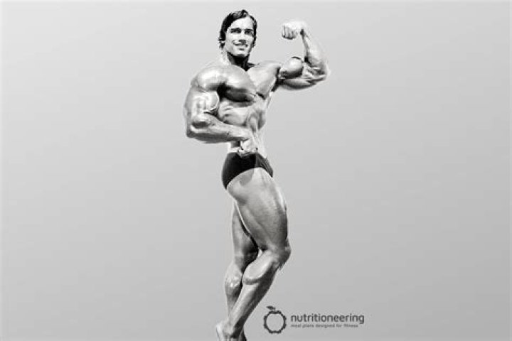 Arnold Schwarzenegger Body Measurements Height Weight Shoe Chest Biceps Size Stats