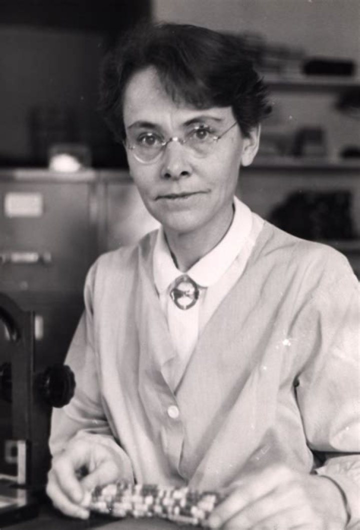 Barbara McClintock Biography - Childhood, Life Achievements & Timeline