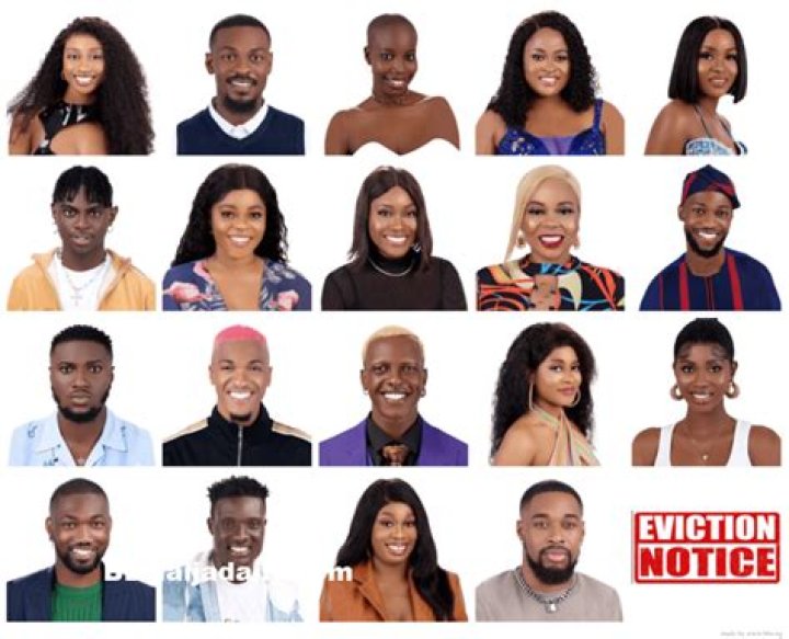 
#BBNaija7: You’ve Been TV Gold – Sheggz Sister Raves Following Eviction 