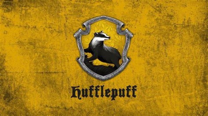 10 Best Hufflepuff characters from ‘Harry Potter’