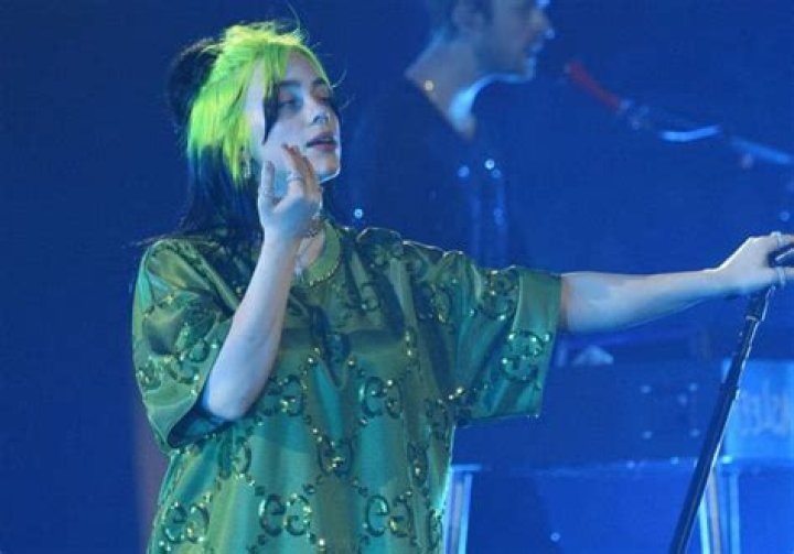 Billie Eilish Strips Down To Her Bra During Concert To Protest Body Shaming