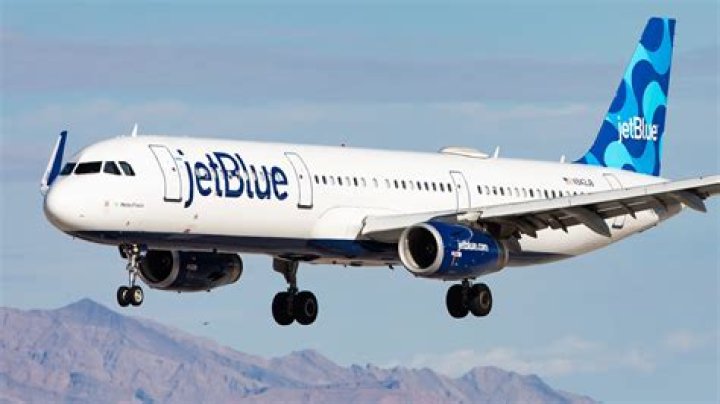 Booby Brown Was Removed From A JetBlue Flight Over This Reason