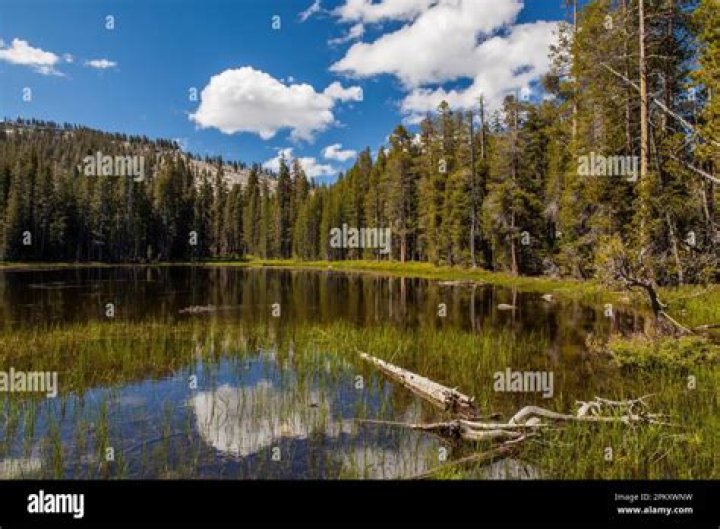 California Caldwell – Henrico, VA