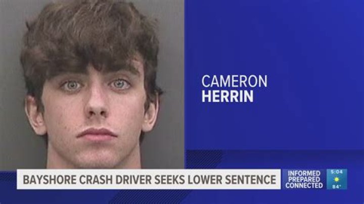 Cameron Herren Mother Cheryl Herrin Ve Peder Chris Herrin Wikipedia, Who, Nationality, Biography