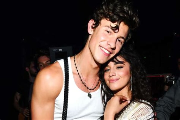 Camila Cabello Opens Up About Romance With Shawn Mendes – Admits She Loves Him!