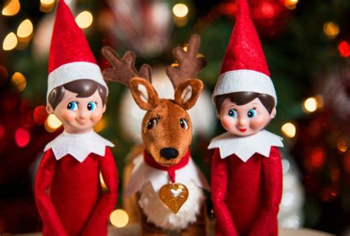 Can you touch a elf on the shelf reindeer