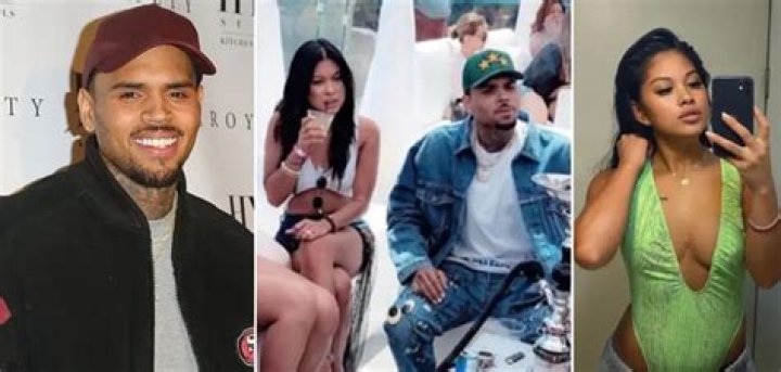 Chris Brown And Ammika Harris No Longer Follow Each Other On Social Media – Here’s Why!