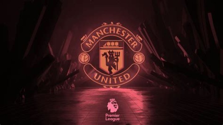 
Cody Gakpo Admits He Thought He Would Join Man Utd All Summer 