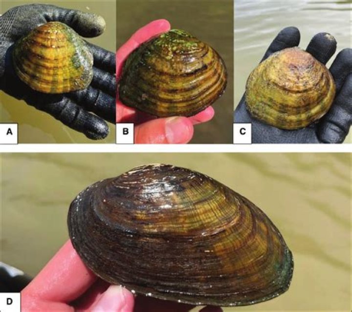 Dan Torolski Dies Unexpectedly at Home, Wyandotte PD Officer Toro