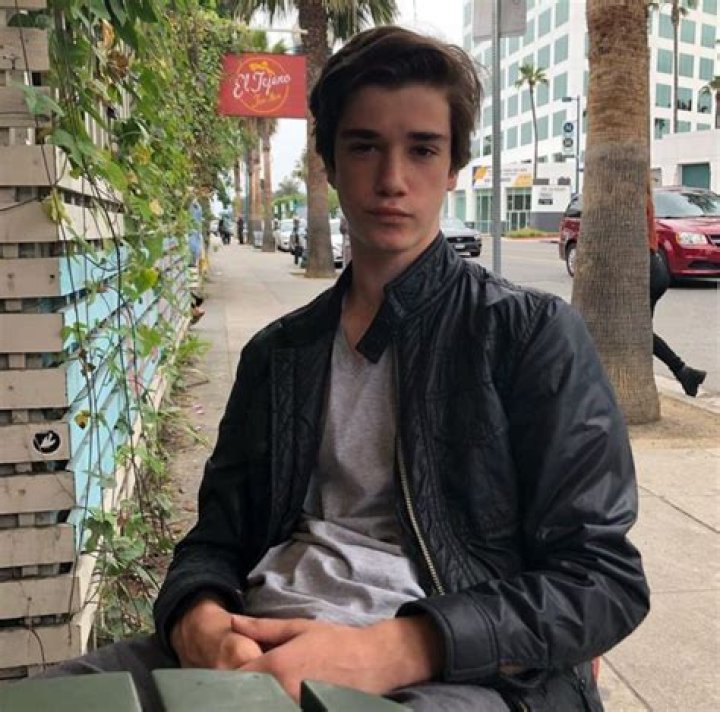 Daniel DiMaggio Height, Weight, Net Worth, Age, Birthday, Wikipedia, Who, Instagram, Biography