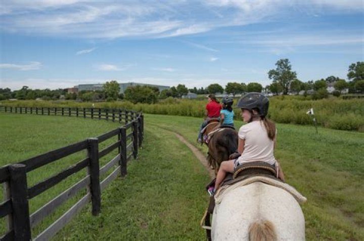 David Adefeso Has The Best Time Horseback Riding In His Short Vacay – See His Clip