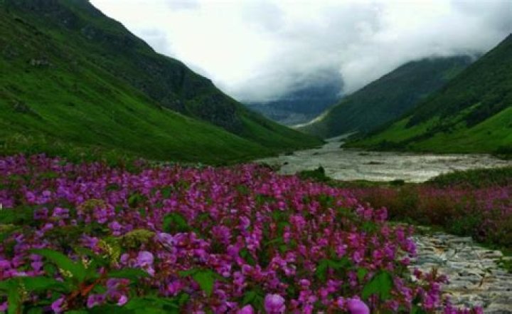 David Flowers – Skokie, IL