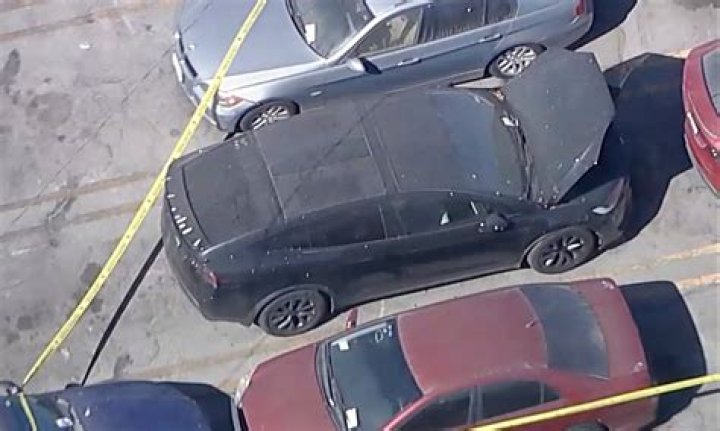 Obituary: David Salinas Found Dead in St. Cloud After Escaping Arrest,