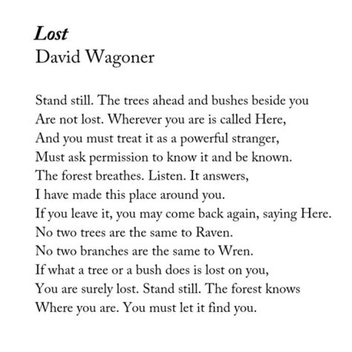 David Wagoner Biography - Childhood, Life Achievements & Timeline