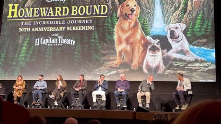 Did any animals get hurt in the making of Homeward Bound? – Celebrity