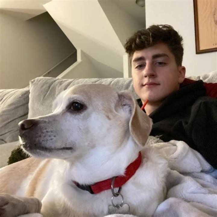 Does Danny Gonzalez have a gaming channel? Does Danny Gonzalez have a dog?