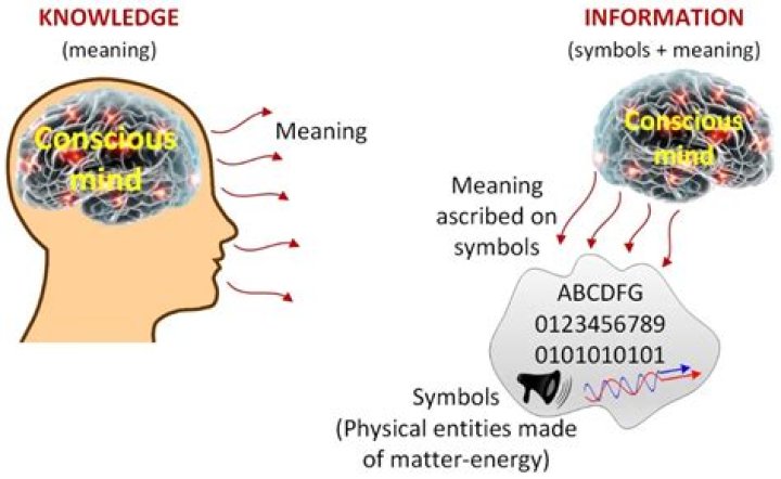 F Slur Tiktok Meaning – Urban Dictionary and In Text Explained