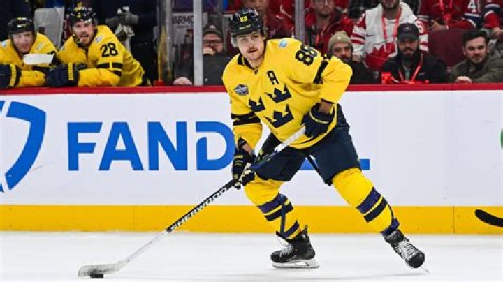 Fans Suspect That Ice Hockey Players Nico Sturm And Marco Sturm Are Related