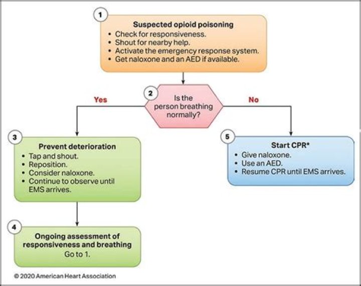 Following A Five-Minute Cardiac Arrest Following Surgery, Matthew Perry Withdrew From Don’t Look Up