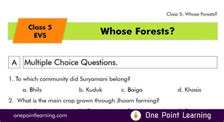 
Forest Questions And Answers Are Getting Viral On TikTok 