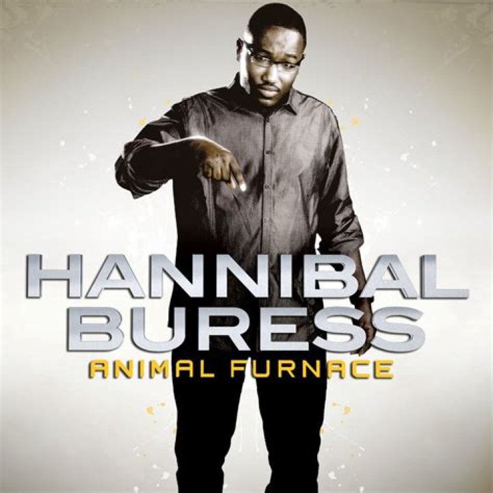 Hannibal Buress: Animal Furnace Special