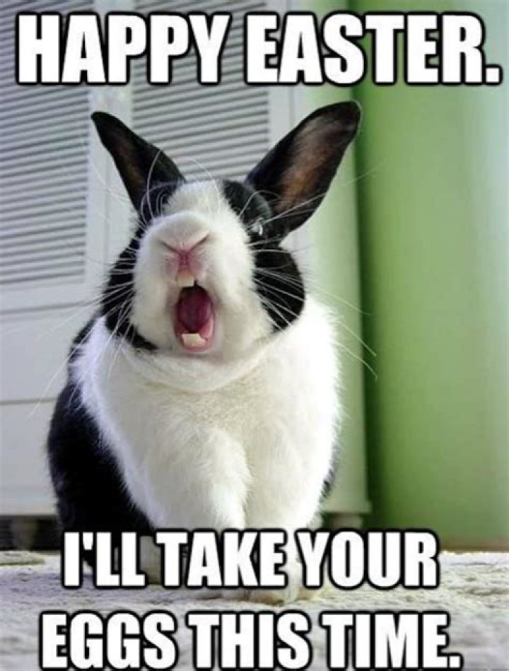 Happy Easter Memes 2022 On TikTok, Explored Funny Images & Wishes