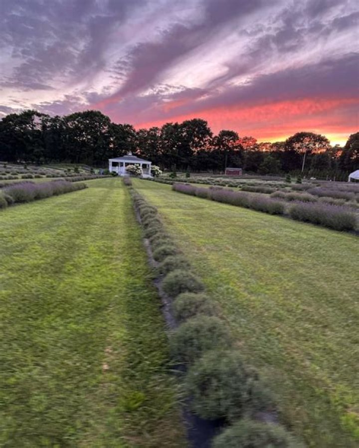 Henry Cabrera – Perris, CA