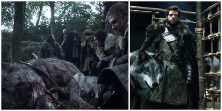 How did Roose Bolton kill Robb Stark?
