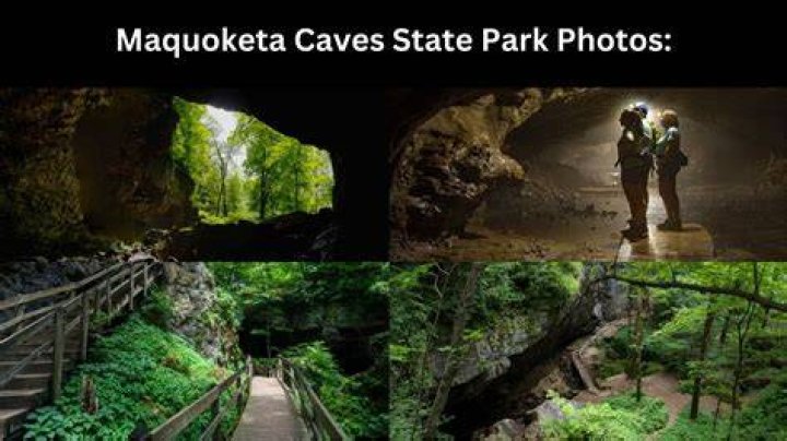 
How did Tyler Schmidt fare? Shooting Victims At Maquoketa Caves State Park: Information 