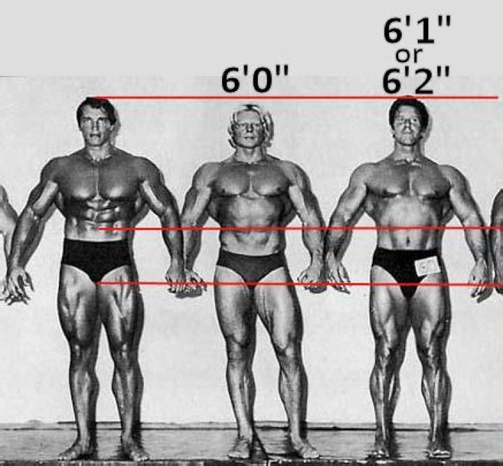 How tall is Arnold Schwarzenegger?