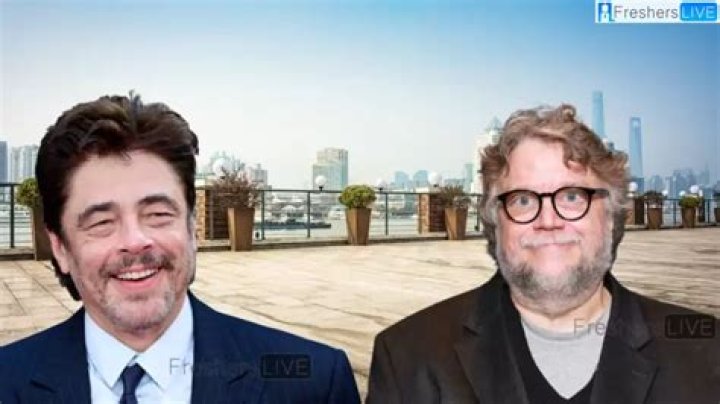 Is benicio del toro related to guillermo