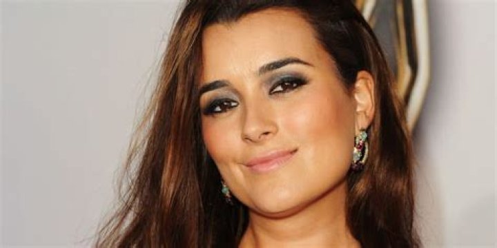 Is Cote de Pablo married? What is she doing now? Wiki, Net Worth, Age, Family, Affair with Michael Weatherly