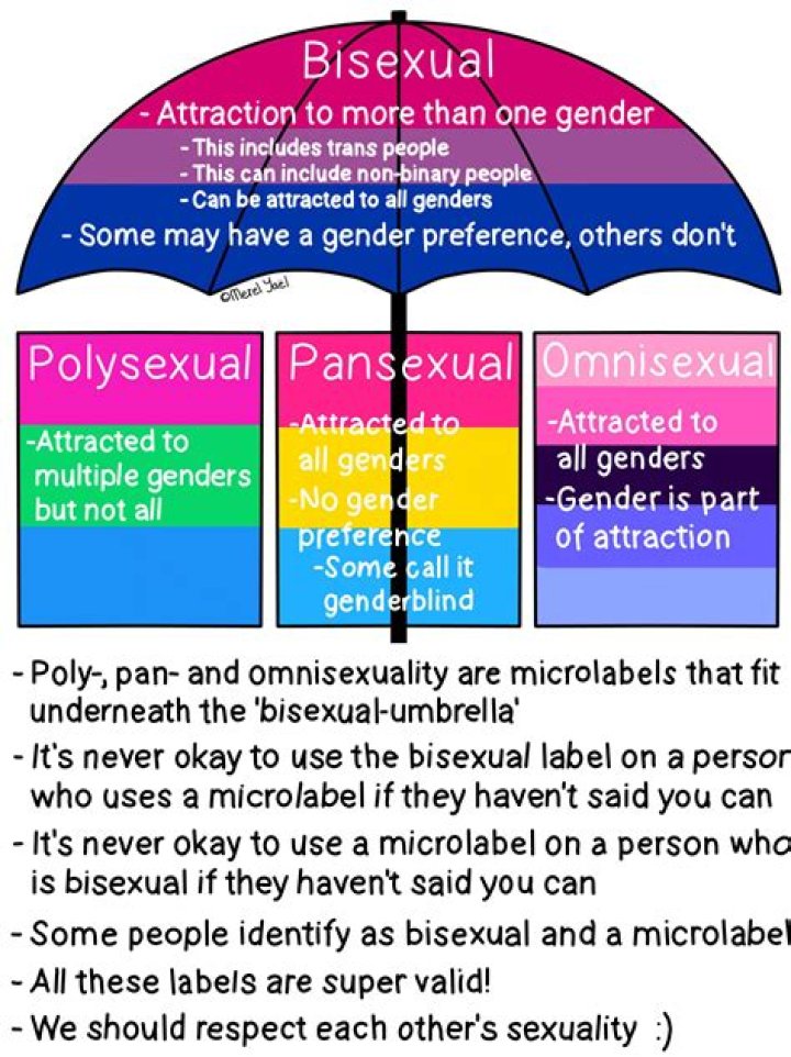 
Is IShowSpeed Gay? Why is His Sexuality Being Questioned? 