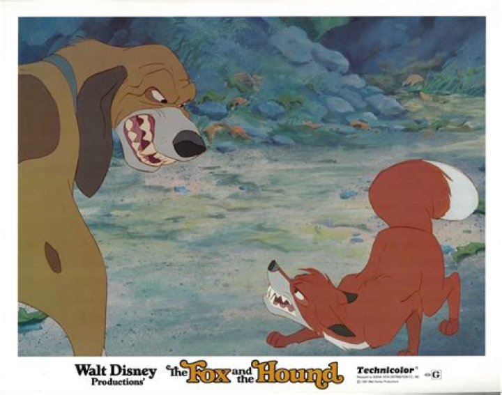 Is there a fox and the Hound 3? – Celebrity