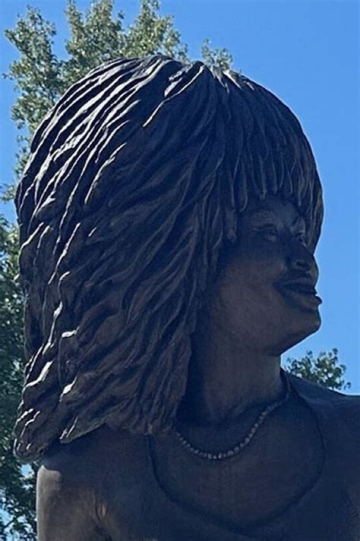 Is Tina Turner sick? What happened to Tina Turner?