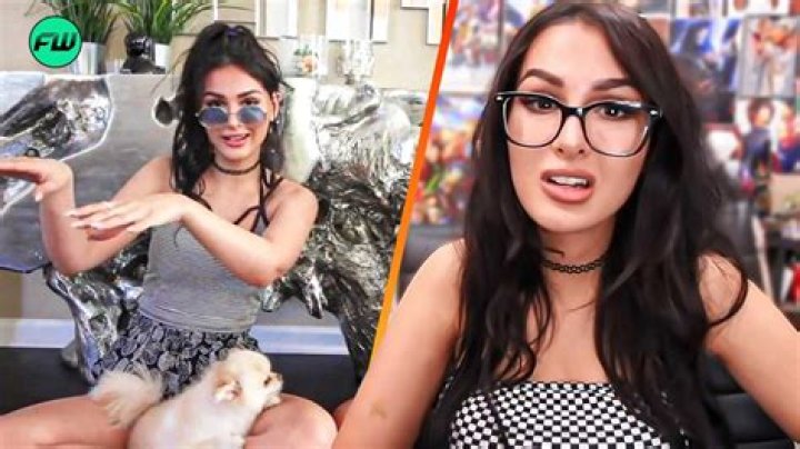 Is Youtuber Sssniperwolf still in jail? What did Sssniperwolf do?