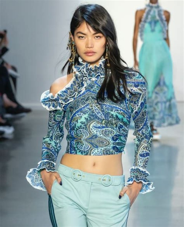 The Greatest Japanese Models