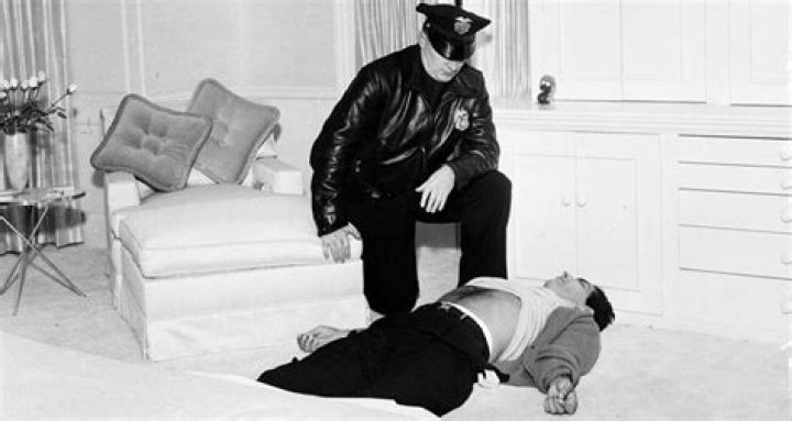 Johnny Stompanato Biography - Facts, Childhood, Family Life