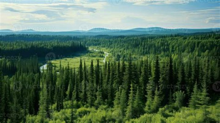 Lerin Middendorf – Independence, KY