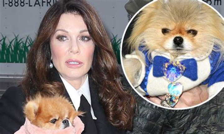 Lisa Vanderpump’s Dog Foundation Faces Sexual Harassment Lawsuit