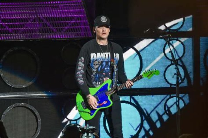Matt Skiba career earnings, salary and net worth