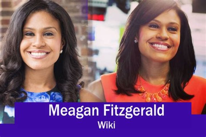 Meagan Fitzgerald NBC 4, Net Worth, Bio, Wiki, Age, Parents, Kelly Heath, News 4, and Married