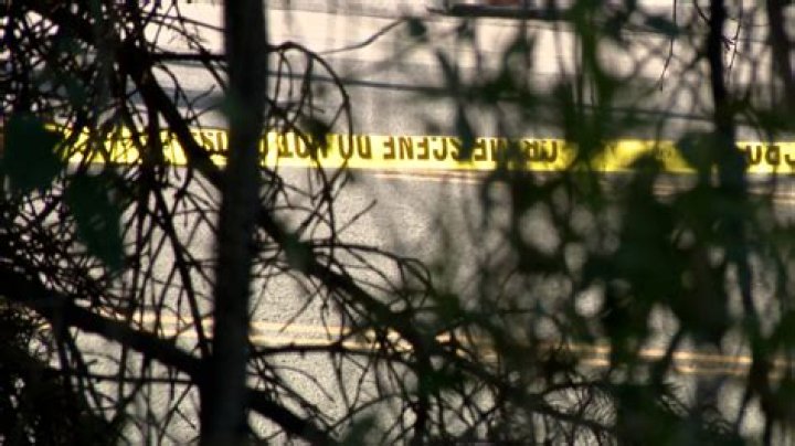 Missing Larry Gehlbach Found, fell in a wooded area near Lanesville