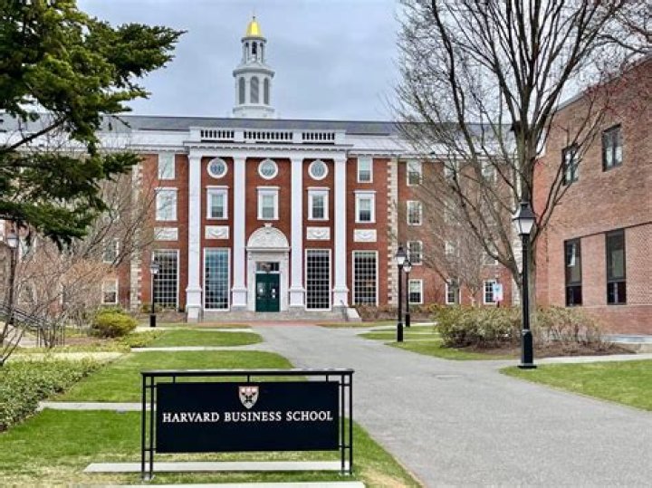 
Mo Abudu Secures An Appointment With Harvard Business School In The United States. 