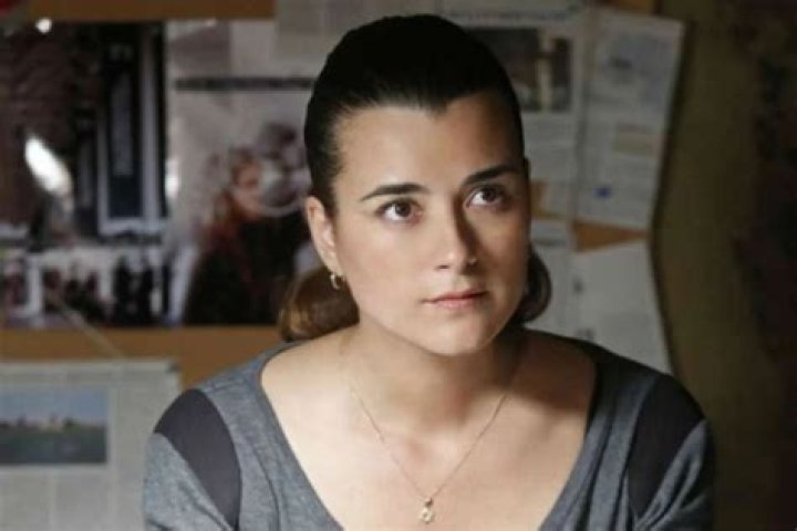 NCIS Season 16: Does Someone Else On The Team Know About Ziva?