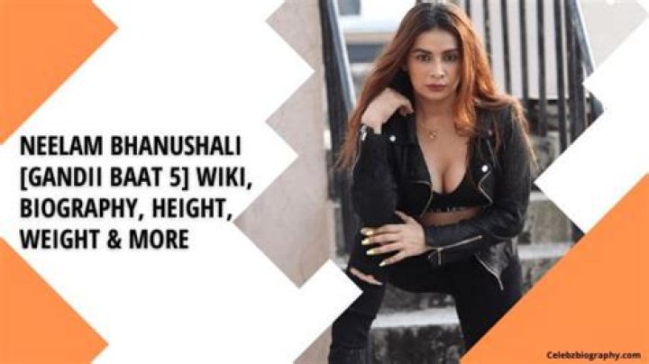 Neelam Bhanushali [Actress] Wiki, Biography, Height, Age & More