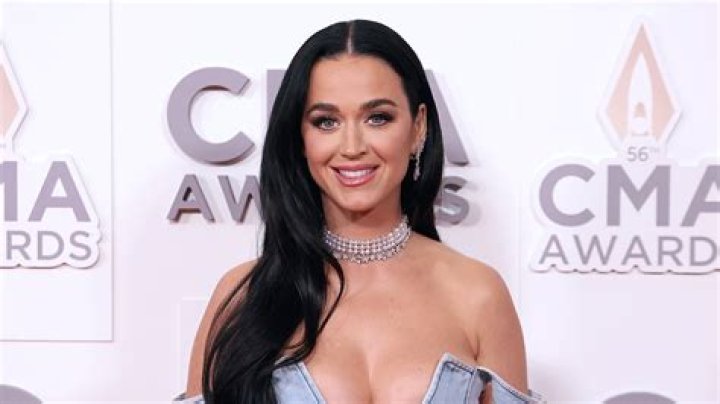 Katy Perry in Bathing Suit Says "Look at This" — Celebwell